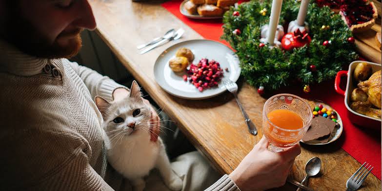 Feasting with Felines: A Thanksgiving Food Guide for Your Cats